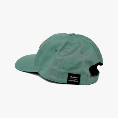 Pastel Dad Caps